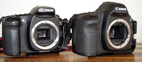 Compare 5D2 and 20D
