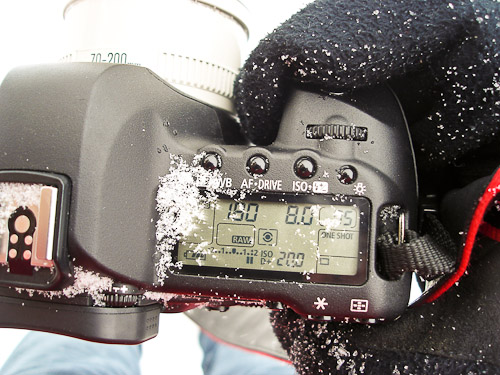 use of the camera in cold temperture condition