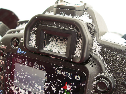 the camera finder filles with snow