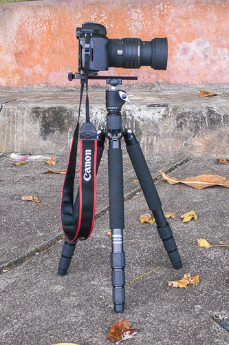 CT-3441 with Canon 5DMK2