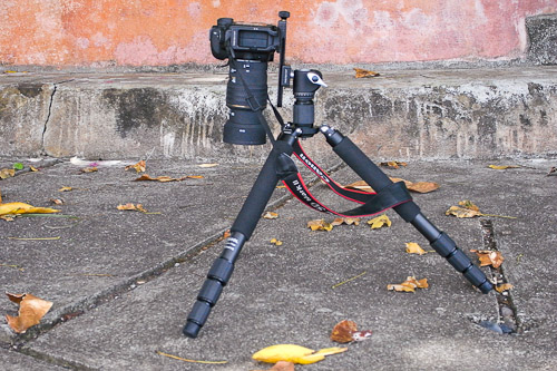 CT-3441 with Canon 5DMK2