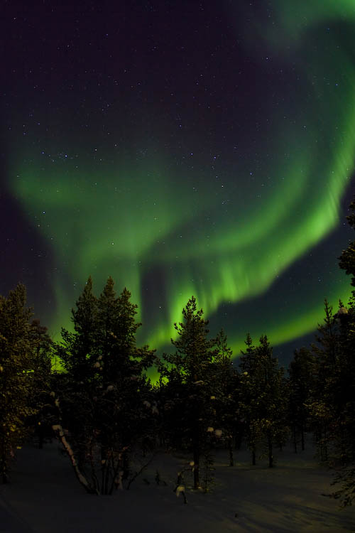 Polarlichter Saariselkä